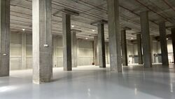 Toh Guan Road East (D22), Warehouse #501307431